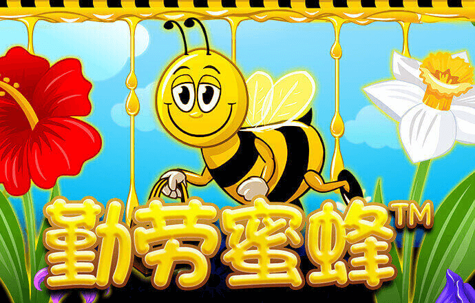 178体育直播官网版下载安装